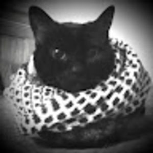 Meet your Posher, Kassandra